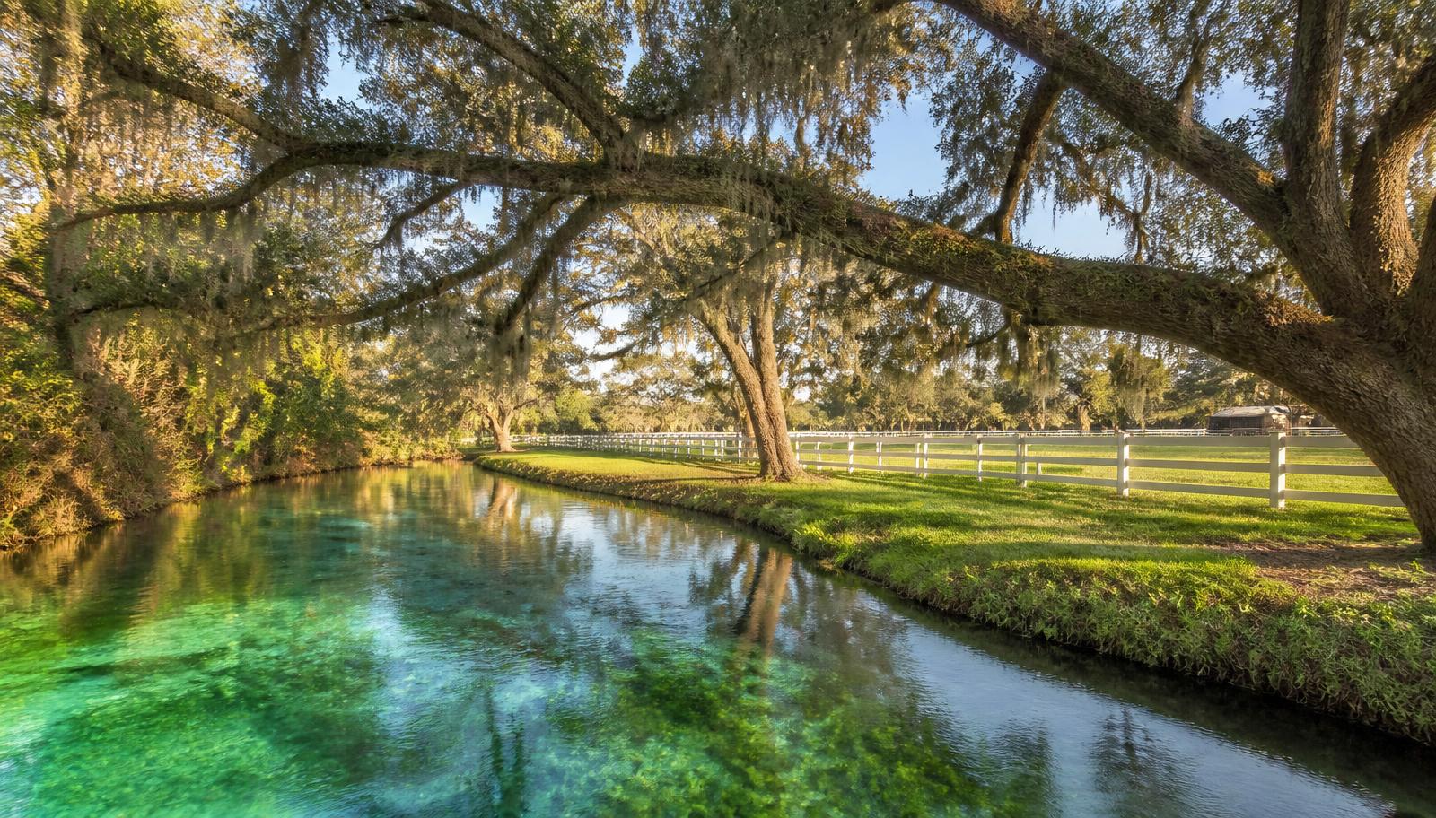 Live oaks, pasture fencing and a clear spring-fed Florida river