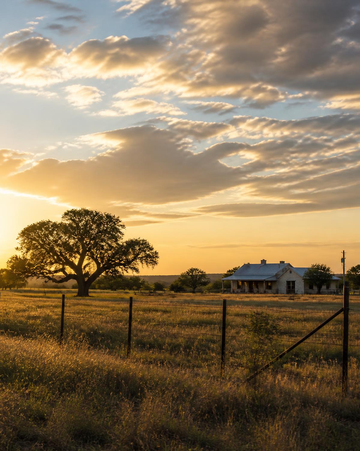Texas pasture with fencing, live oaks and a ranch house at sunset
